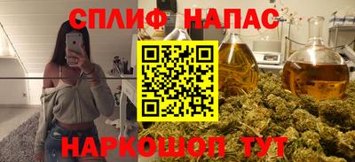эйфоретик Кингисепп