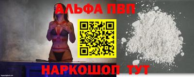 эйфоретик Кингисепп