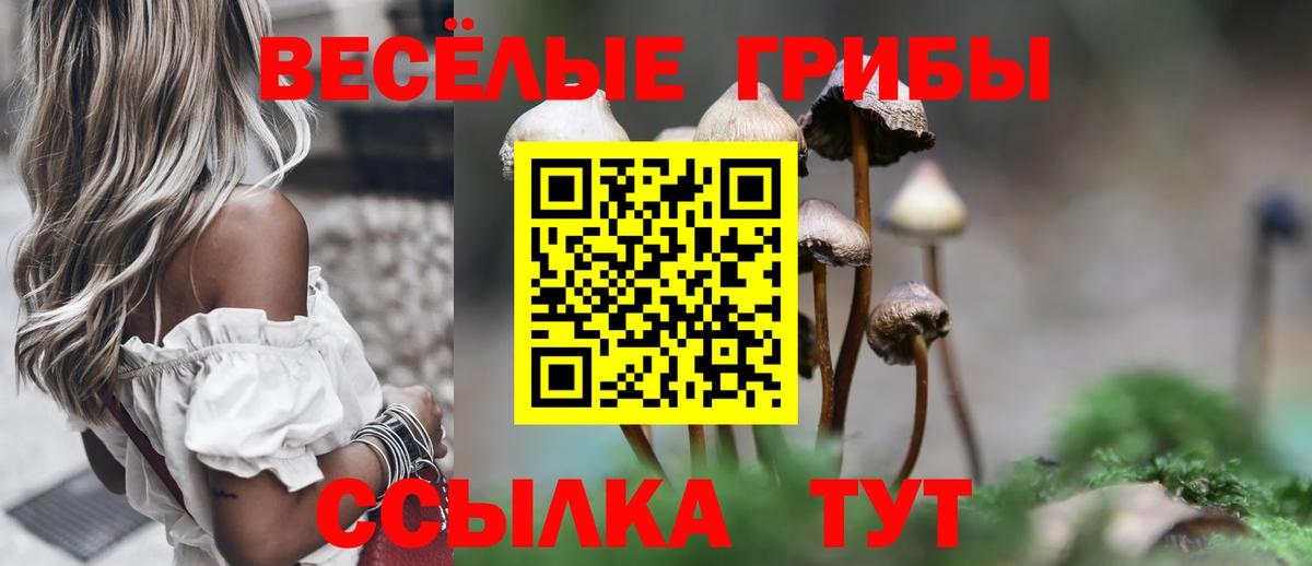 Псилоцибиновые грибы мухоморы Кизилюрт